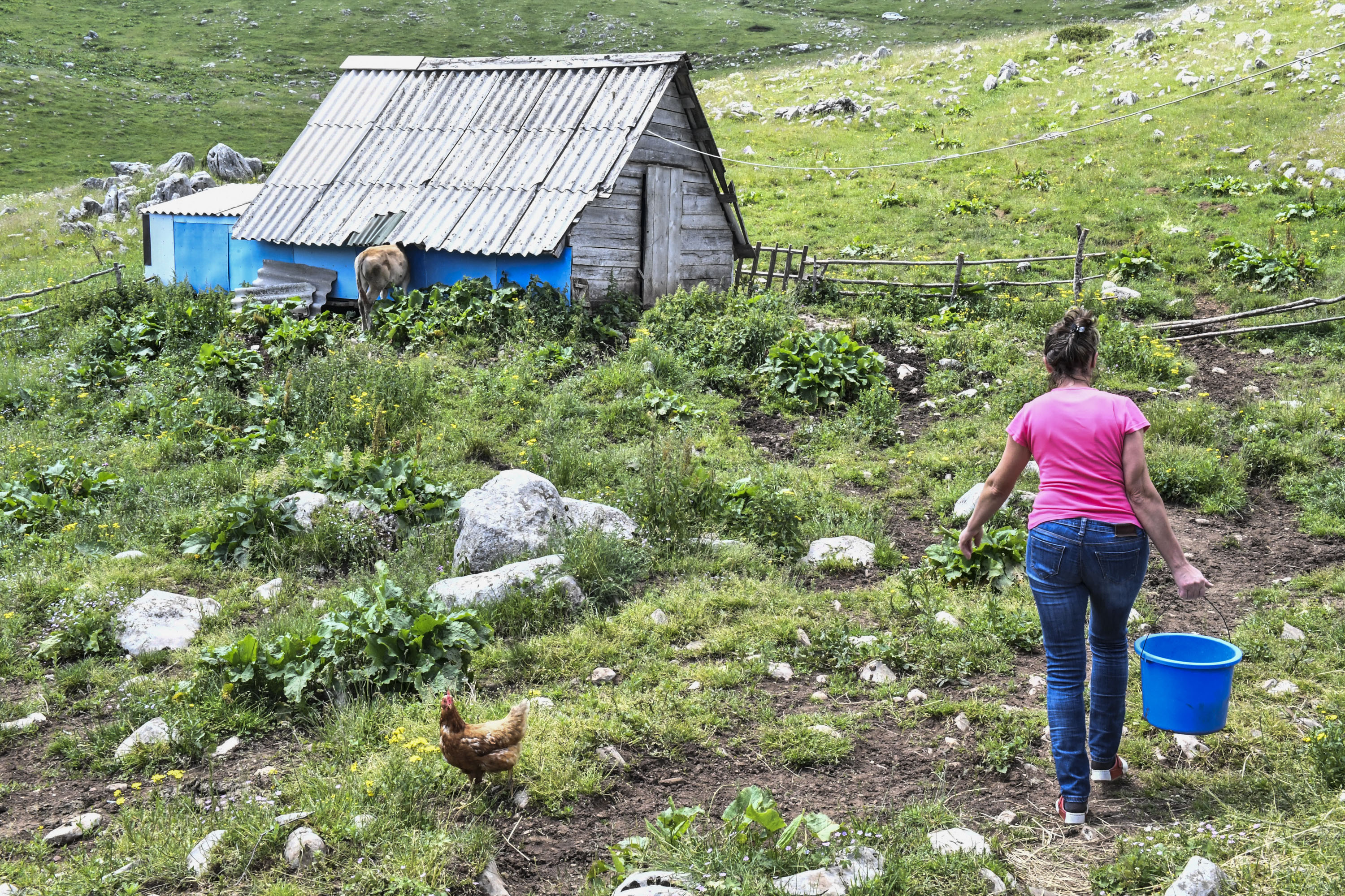 The Power of Women in Rural Tourism: Overcoming Prejudices